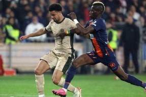 开云棋牌入门指南关于里程碑夜明尼苏达森林狼外线爆发；法甲冲刺阶段刷纪录；底气十足；身体对抗强度拉满的信息